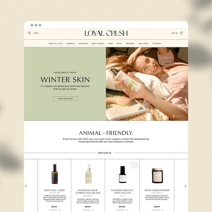 Example ecommerce website design